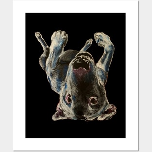 Upside Down Creeper Bull Terrier Posters and Art